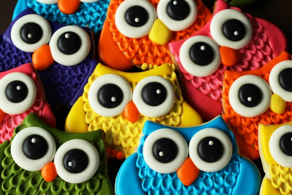 owl-cookies-14