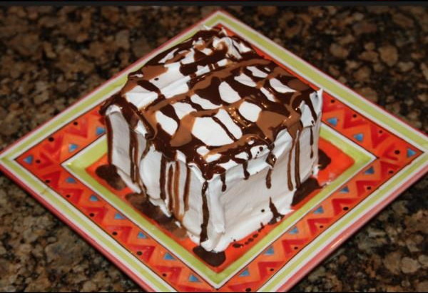 DIY-No-Bake-Ice-Cream-Cake-0-3