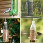 Reuse-Plastic-Bottle-5