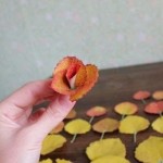 diy-roses-from-autumn-leaves-08