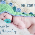 Animal Hat Crochet Patterns Dino