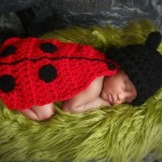Crochet Lady Bug