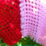diy-baby-pom-pom-blanket-2