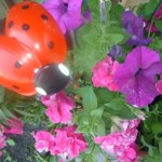 diy-cute-ladybug-with-plastic-spoon-11