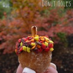 Acorn Donut