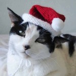 Crochet-Cat-Hat-Pattern-4