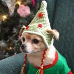 Crochet Dog Elf Hat