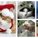 Pet Hat Crochet and Knitting Pattern f