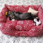 DIY Fabric Pet Sofa-1