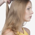 Hairstyle in the style of the 60s Babette-2