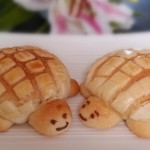 turtle crispy bread020_1
