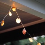 Adorable Seashell Craft Ideas lights