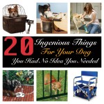 20 Ingenious Things For Your Dog You Had No Idea You Needed