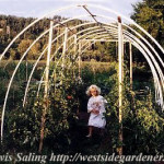 Garden-Hoop-house
