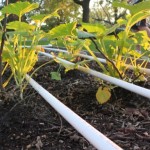 Garden-Irrigation-System