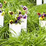 Sleeve-Planters