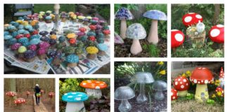 Garden Creative Mushroom Projects