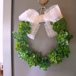 DIY Succulent Wreath