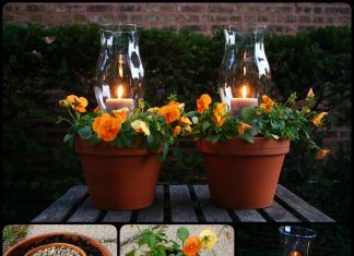 Terracotta Candle Planters