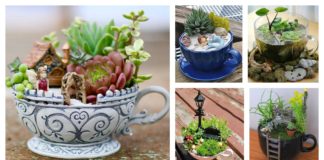 14 Cute Teacup Mini Gardens Ideas