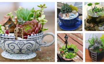 14 Cute Teacup Mini Gardens Ideas