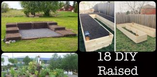 Raised Garden Bed Ideas