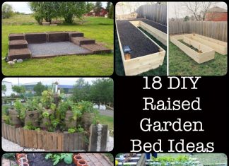 Raised Garden Bed Ideas