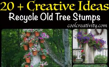 Recycle Old Tree Stump Ideas