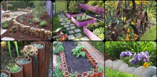 30+ DIY Garden Bed Edging Ideas