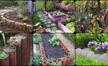30+ DIY Garden Bed Edging Ideas