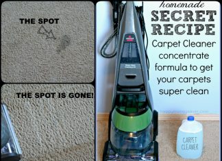 Homemade Carpet Cleaning Solution