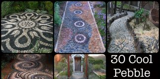 Pebble Pathway Ideas