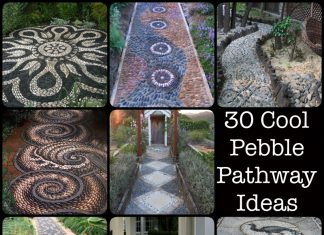 Pebble Pathway Ideas