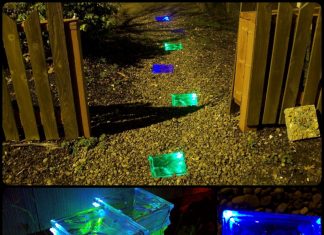 Solar Powered Walkway