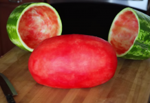 Skin Watermelon