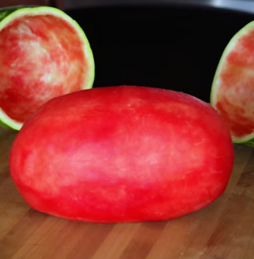 Skin Watermelon