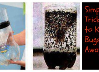 Keep Summer Bugs Away