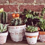 DIY Lace Succulent Pots