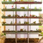 DIY-gutter-vritcal-garden-full-of-succulents