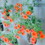 DIY Spoon Planter Hangers
