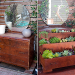 Succulent Flower Dresser