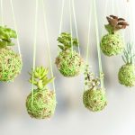 Succulent String Garden
