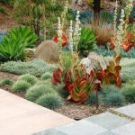 mixing-colors-is-always-a-good-idea-in-backyard-landscapes-750×491