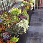 simple-containers-provide-enough-space-for-landscape-masterpieces
