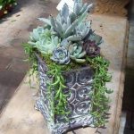 succulent-garden-ideas-14