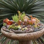 succulent-garden-ideas-2-500×375