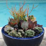 succulent-garden-ideas-3-500×540