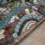 succulent-garden-ideas-33-500×375