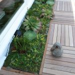 succulent-garden-ideas-34