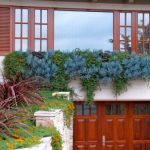 succulent-garden-ideas-35-500×375